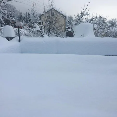 Apartment Lebenslust Frauen Gasser