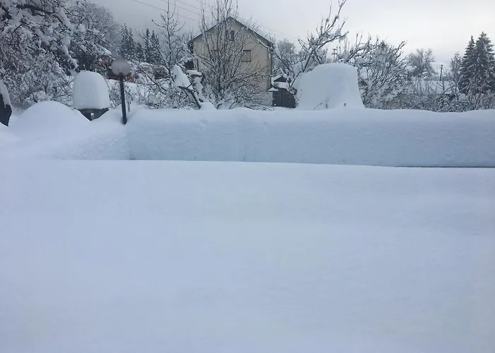 Apartment Lebenslust Frauen Gasser