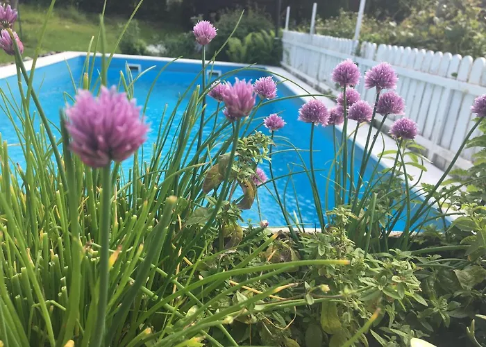 Apartment Lebenslust Frauen Gasser *